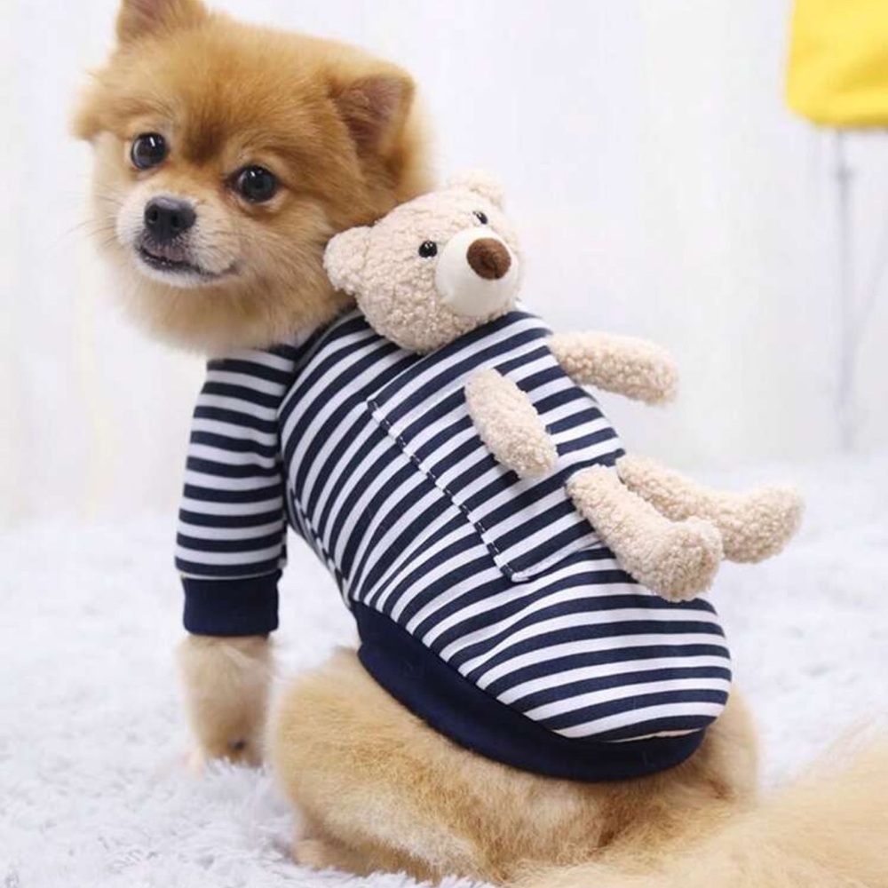 Brand New BEAR Dog clothing for small dogs